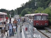 2009_08_12_Bild_010_Stamm.JPG