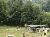2009_08_21_Fuchs_II_Bild_035.jpg